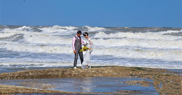 Couples take wedding photos amid wind brought by Typhoon Dujuan
