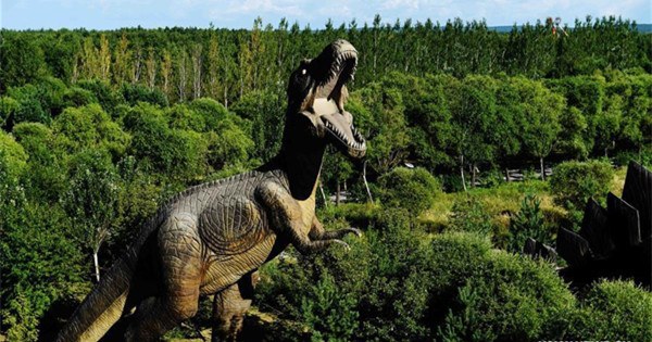 Dinosaur National Geology Park in NE China