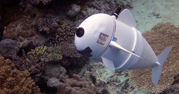 MIT unveils robotic fish 
