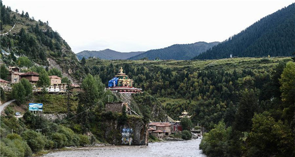 Scenery of primeval forest farm in Tibet