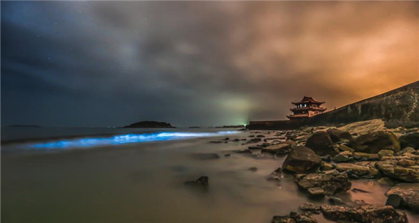 Eerie blue glow in East China waters