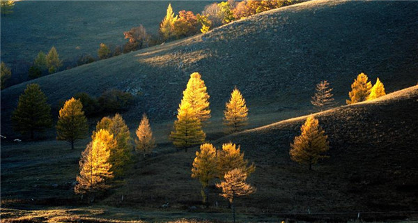 Autumn scenery of Zalantun National Scenic Spot in Inner Mongolia