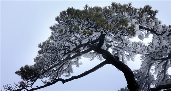 Rime scenery appears in China