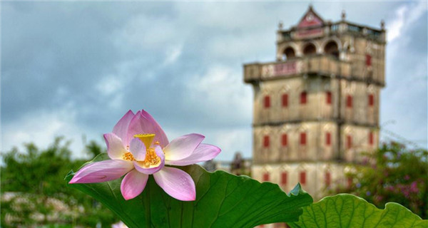 Lotus seen at scenic spot of Diaolou in south China