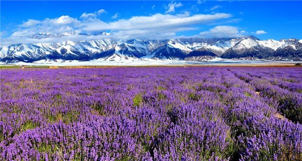 Breathtaking scenery of Xinjiang