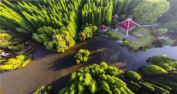 Scenery of Dongping National Forest Park in Shanghai