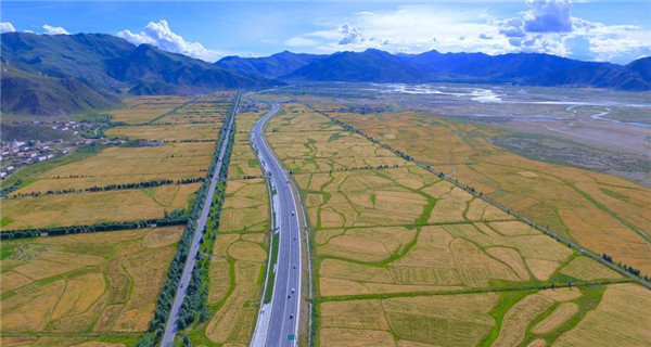 Aerial photos show golden field in valley of Lhasa River