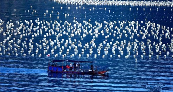 Aerial view of Xiapu mudflat in Fujian Province