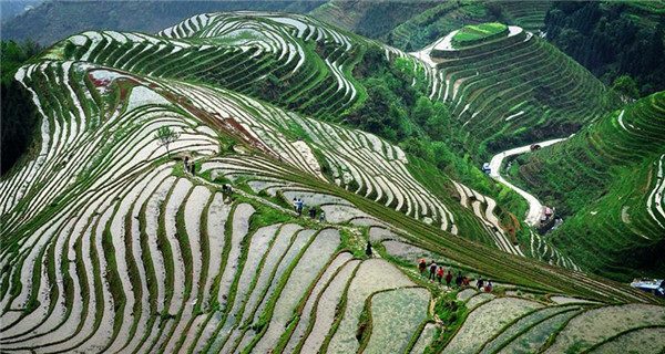 China perfects art of building terraced fields
