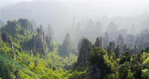 Scenery of Zhangjiajie national forest park in central China