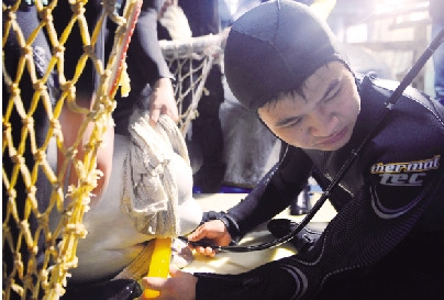 A veterinarian is using a gastroscope to observe the inside of the white whale's stomachs.(Photo: Qianjiang Evening News)