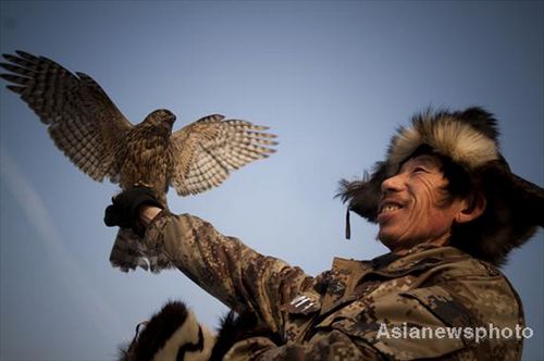 A falcon raiser in Da Yulou village shows his bird on Jan 9, 2012.