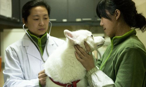 Dr Sun Chunyan (left), of International Center for Veterinary Services, preps a pet dog yesterday before checking it into the center's boarding facilities.  