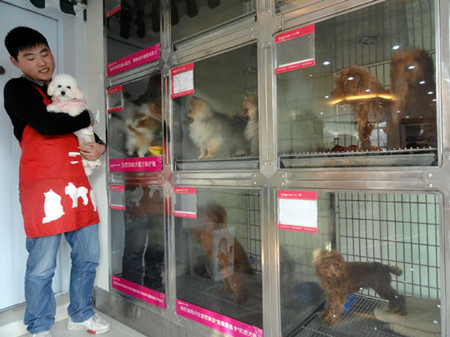 A worker cares for dogs that are boarding at a pet hotel in Suzhou, East China's Jiangsu province, on Jan 25. Boarding services for pets were busy around the Spring Festival as many people planned to travel during the week-long holiday. Wang Jiankang