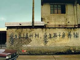 Some signs remind rural residents to have fewer children (to save money) and raise more pigs (to make a fortune).