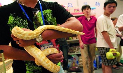 Rare spiders, lizards, snakes, rats, cockroaches and ants are among the favored pets for some young people. [Photo: CFP]