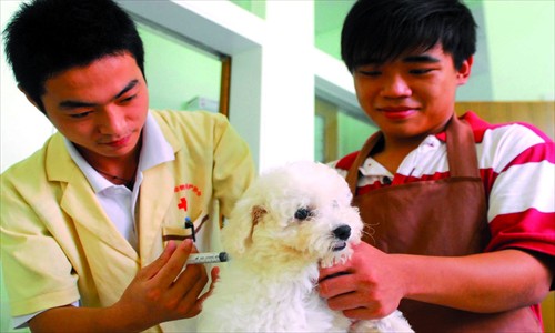Getting your dog vaccinated against rabies will decrease your risk of infection.