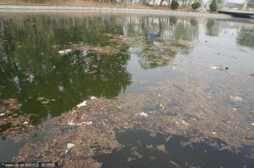 Photo taken on April 17 shows the floating of the surface of the Jing-Mi water diversion canal. [CFP Photo]