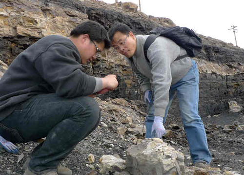 Wang Jun (right), a paleobotanist with the Nanjing Institute of Geology and Palaeontology under the Chinese Academy of Sciences, carries out research in March with his colleague in Wuda, the Inner Mongolia autonomous region. Xu Wei / China Daily 