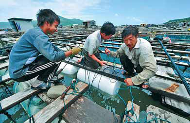 Fishermen fasten their traps in preparation for typhoon Saola in Pingtan, East China's Fujian province, on Tuesday.