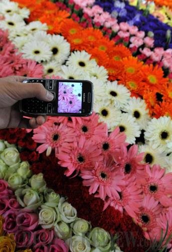 SNAPSHOT: A visitor takes a shot of flowers at the Kunming International Flower Exhibition on September 19. In the future, people may be able to identify a flower by simply scanning it (LIN YIGUANG)