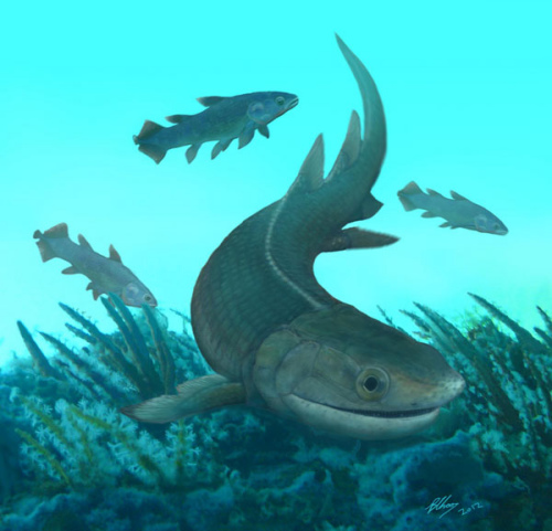 The Chinese Academy of Sciences released a computer generated image of the stem-tetrapod. [File Photo/Xinhua]