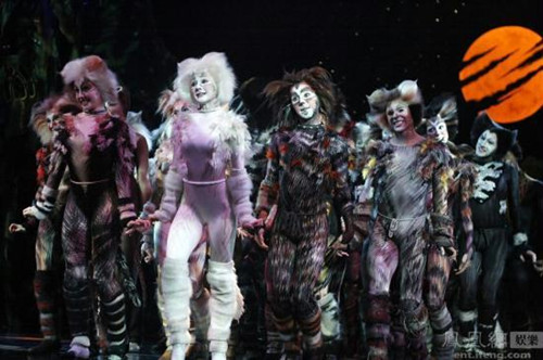 Cats is the latest import of classic musicals by the China Arts and Entertainment Group.