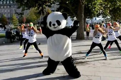 K-Pop hit Gangnam Style continues to make waves around the world. South Korean singer PSYs viral sensation has compelled people from all over to ape and parody his hit video - in particular his horse-riding dance move. Now even pandas are in on it - and online its been called the cutest parody ever.
