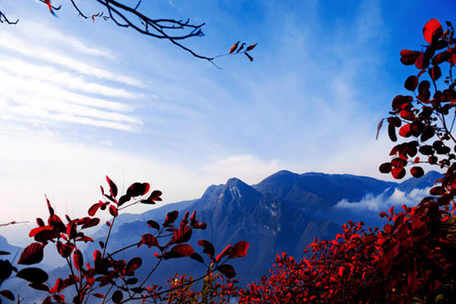 Mountains along the Three Gorges region of the Yangtze River are covered with red leaves, in Badong county, Central China's Hubei province, Oct 30, 2012. The Three Gorges span from Fengjie in northwest China's Chongqing to Yichang in Hubei province. It attracts global attention due to the Three Gorges Dam, the world's largest hydropower station. [Photo/Xinhua]