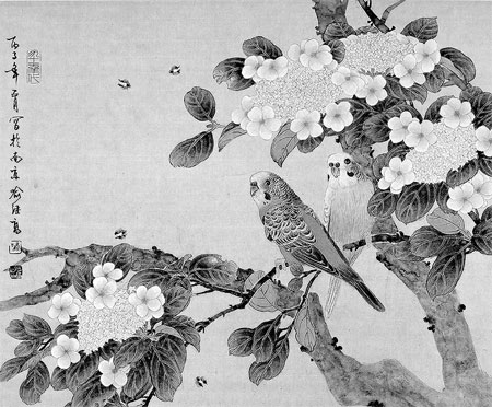 Couple Parrots Whisper among White Blossoms