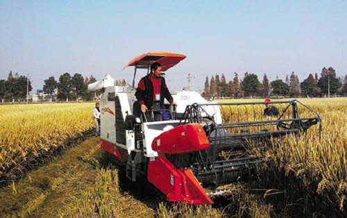 Tests on a new super rice in China have a achieved a record-high yield of 14 tons perhectare.