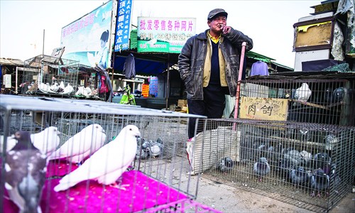 A vendor and his pigeons in Beijing's largest pigeon market in Caihuying Xijie, Fengtai district Photo: Li Hao/GT 