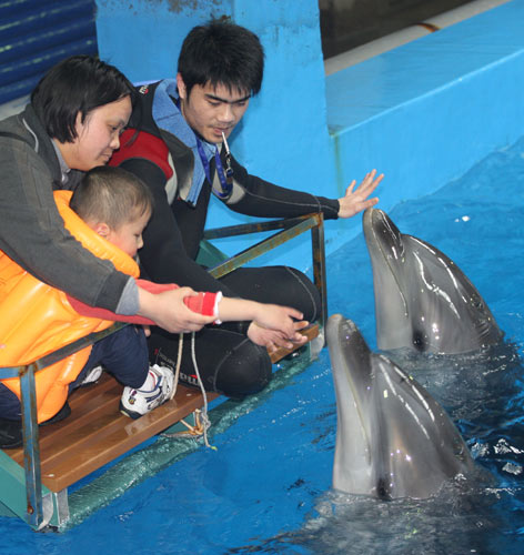 Dolphins help children open up just by simply playing with them. [Photo by Li Bo /For China Daily]