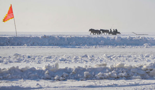 Fishermen drive on Chagan Lake in Jilin province for fish catch on Dec 27, 2012. Photo/Xinhua