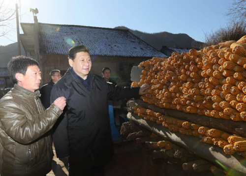Xi Jinping (R, front), general secretary of the Communist Party of China (CPC) Central Committee and chairman of the CPC Central Military Commission, asks local village secretary Gu Shujun (L) about crops production while visiting the family of Gu Chenghu