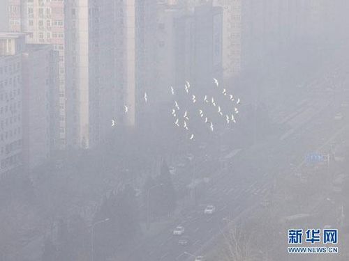 The air pollution index in Beijing has sharply dropped to less than 200 from nearly 500 on Sunday.