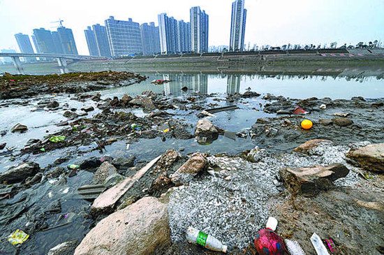 Waste clogs a polluted river in Changsha, Hunan province, on Sunday. Nearby factories have been discharging polluted water into the Yangjiawan section of the Liuyang River since the end of 2012. [LONG HONGTAO / XINHUA]