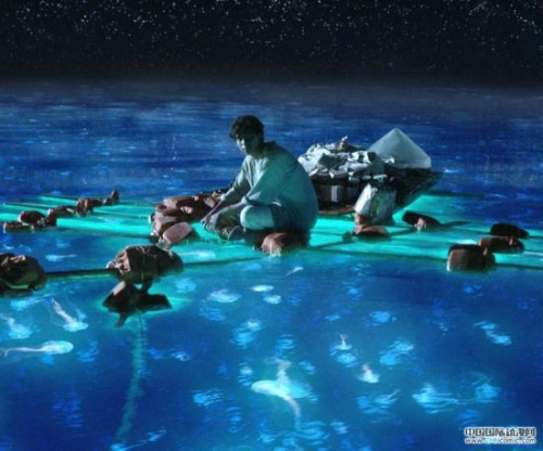 The movie Life of Pi has made impressive box office returns in China. The excitement over 3D is reflected in the growing demand by Chinese movie goers, who expect 3D technology to be coupled with the best films in the world.(Photo: CCTV)