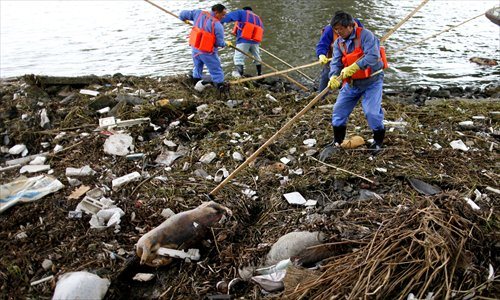 Sanitation workers salvage dead pigs from the Hengliaojing Creek in Shanghai's suburban Songjiang district Sunday. The creek flows into the upper reach of the Huangpu River, a source of the city's drinking water. Photo: Yang Hui/GT   