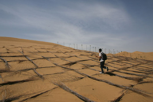 A volunteer with an environmental NGO walks on a desert as part of a desertification project in Dalad Banner, the inner Mongolia autonomous region, in May 2012. [Photo/Xinhua]