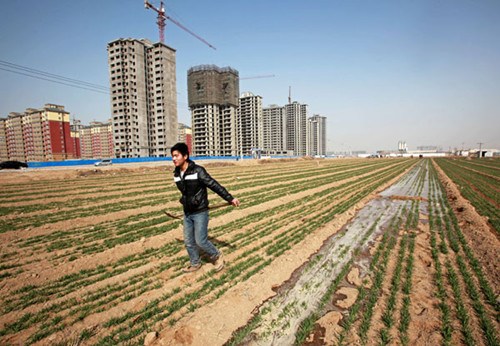A farmer irrigates a field of wheat at Suizhuang village in Huaxian country. Henan province. Nearly, residential buildings are being built for villagers as part of a rural urbanization drive. [For China Daily]