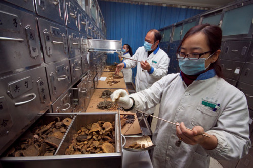 Workers prepare medicines at a traditional Chinese medicine hospital in Xiangyang, Hubei province.[Photo/China Daily]