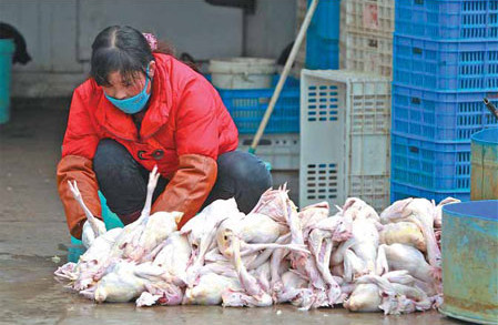 The trade in live poultry has been suspended in the cities of Shanghai, Nanjing and Hangzhou. You You / for China Daily