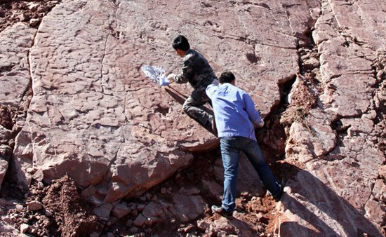 Paleontologists make a mold of claw marks that might have been left by a swimming dinosaur in Zhaojue county, Sichuan province. XING LIDA / FOR CHINA DAILY