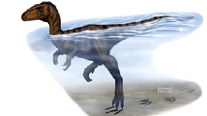 A computer-generated image of a swimming dinosaur. PROVIDED TO CHINA DAILY