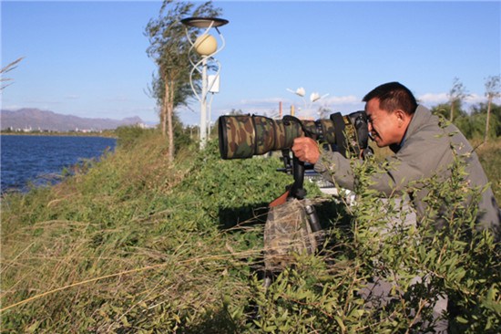 Chen Xuegu, a photographer at Nanhai reserve snaps flocks of migratory birds at the wetland. Provided to China Daily