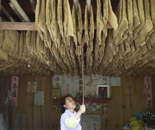 The 600-year-old paper-making craft still thrives in Baishuihe village in Guiyang. Photo by Feng Yongbin / china daily
