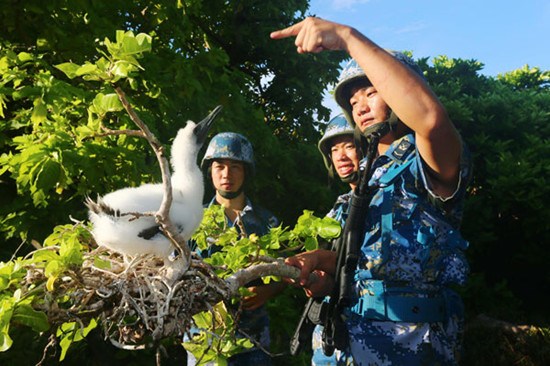 Navy soldiers stationed on East Island, the second largest of the Xisha Islands, play with a white gannet, a protected species, on Saturday. More than 40 species of birds live on East Island, known as the island of the birds. Zha Chunming / Xinhua
