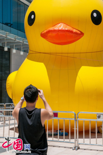 A pedestrian takes photos of an inflatable yellow duck, which is believed to be a clone of the one in Hong Kong, at a shopping mall in Shenzhen city, South China's Guangdong province, May 30, 2013. [Photo: China.org.cn] 