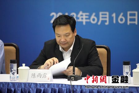 Chen Yulu, president of Renmin University and financial expert, addresses a speech at Sunday's  press conference.  